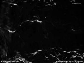 流水面视频,视频中的自然韵律与生命律动