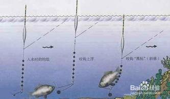 怎么调鱼漂视频,跟随视频学习精准钓鱼方法