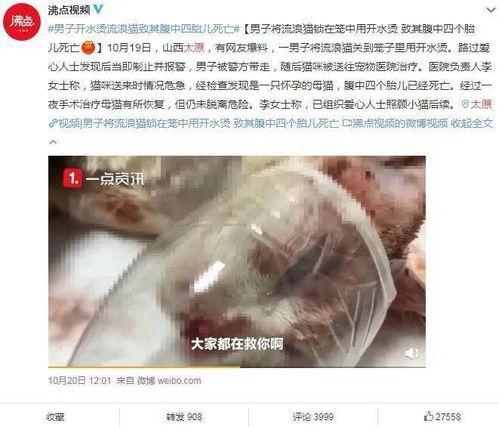 挤黑疮视频