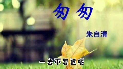 匆匆朗诵视频,时光流转中的诗意瞬间