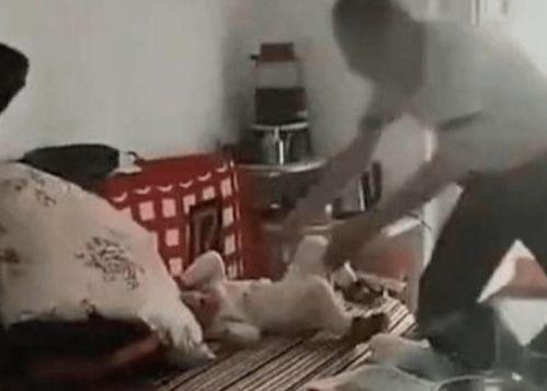 儿童犯罪视频,视频揭示的残酷现实