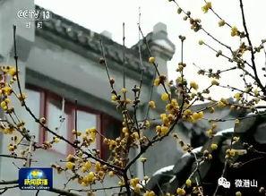 贵州天柱新闻视频,聚焦天柱发展动态与民生故事